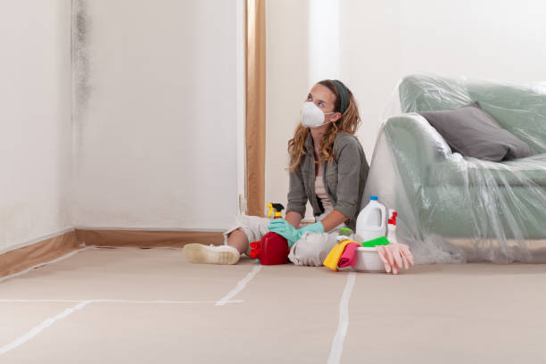 Reliable Mold Testing contractor in Herndon, VA by WQB Mold Removal
